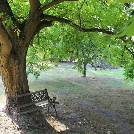 公寓 Romantische Unter Den Linden Buchholz (Mecklenburg-Vorpommern)