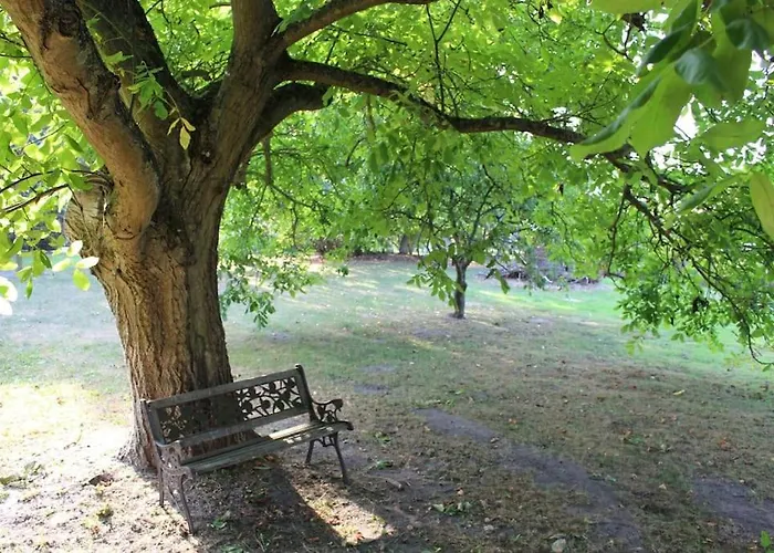 Апартаменты Romantische Unter Den Linden Buchholz (Mecklenburg-Vorpommern)